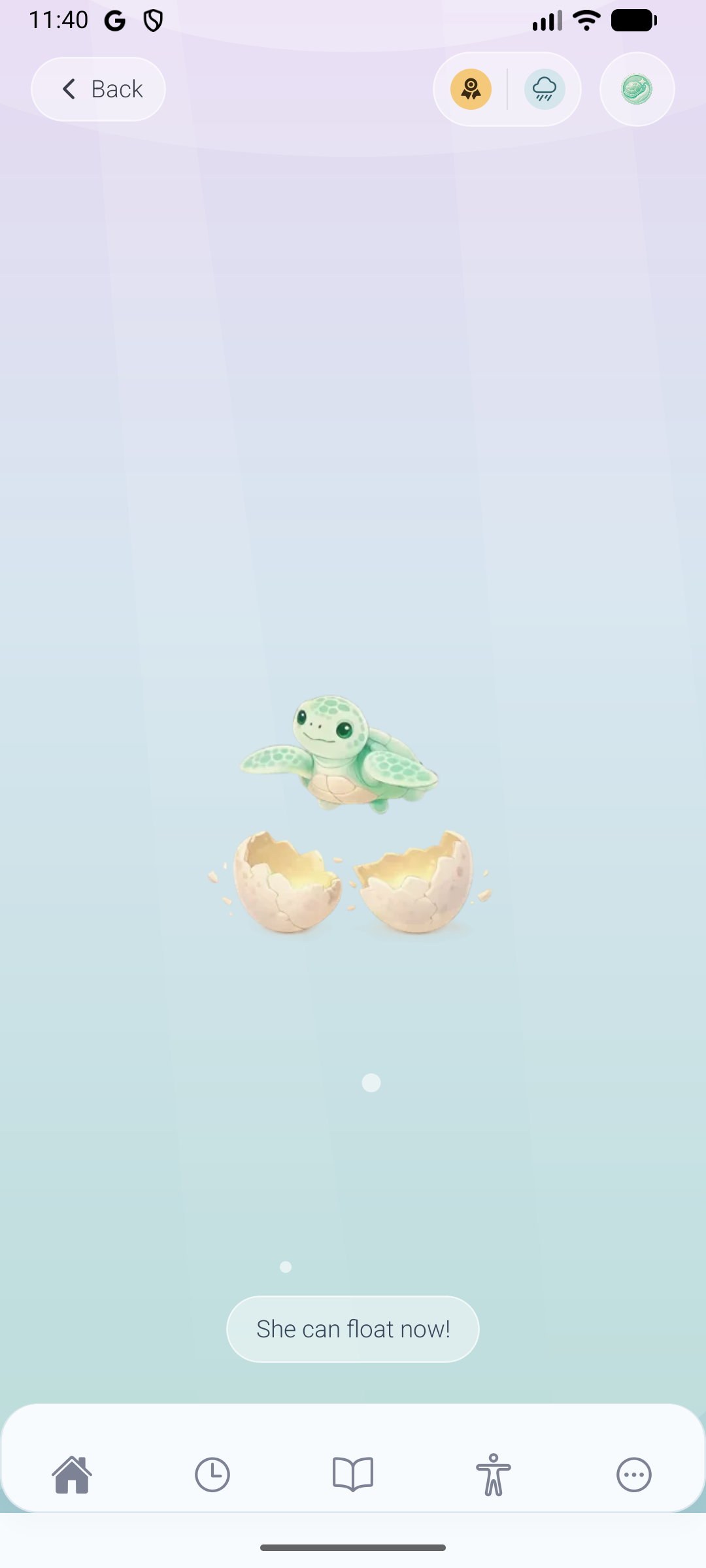 Tina Turtle Lake screen with a turtle companion hatching and floating